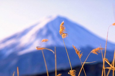 富士山雪景色