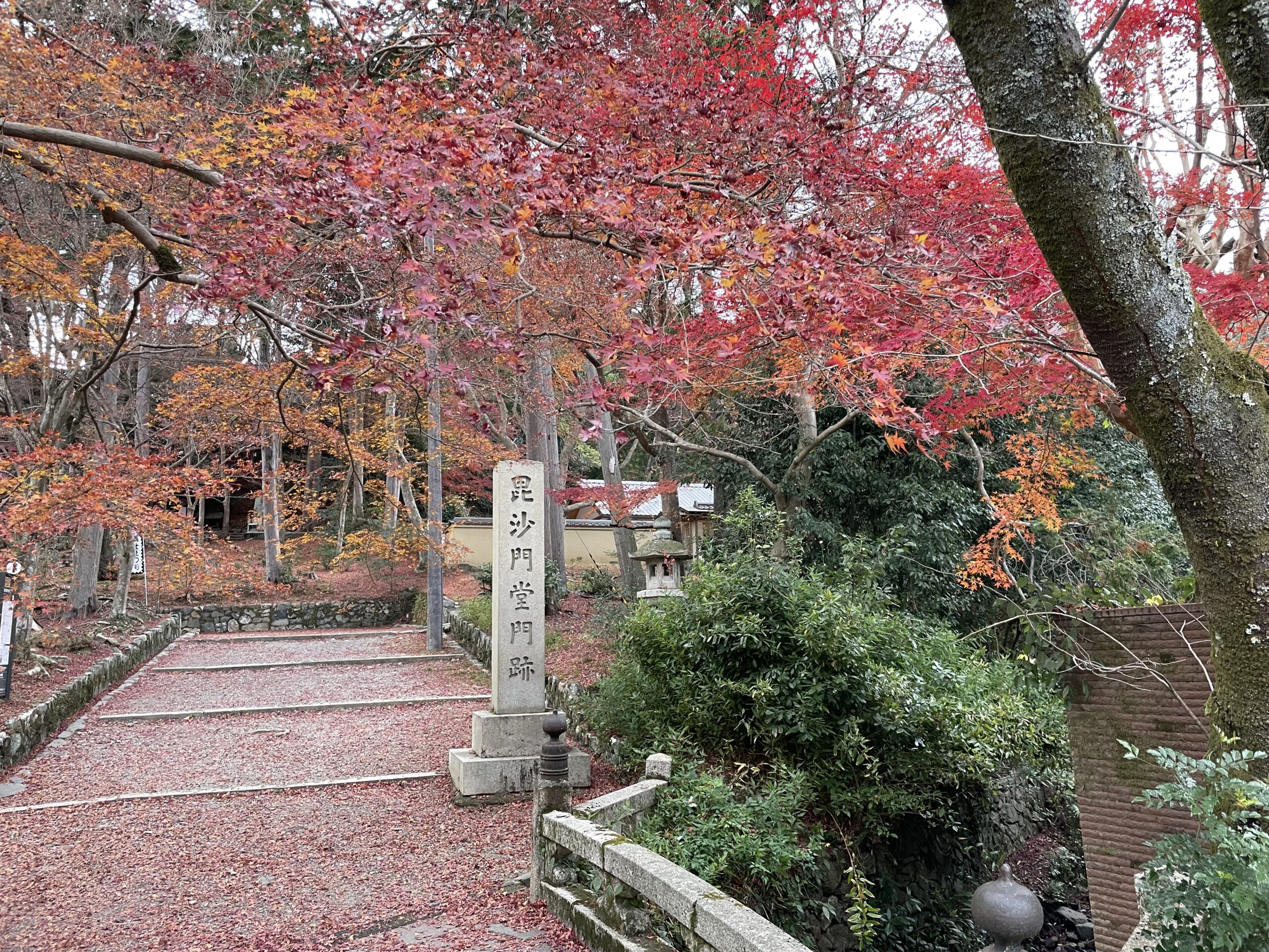 名残の紅葉 ～京都・毘沙門堂～ : エクシブ会員権 仲介・売買のALIVE